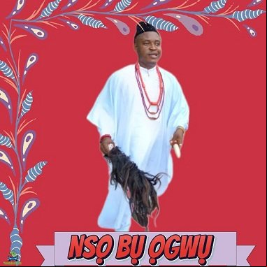 Chief Michael Udegbi