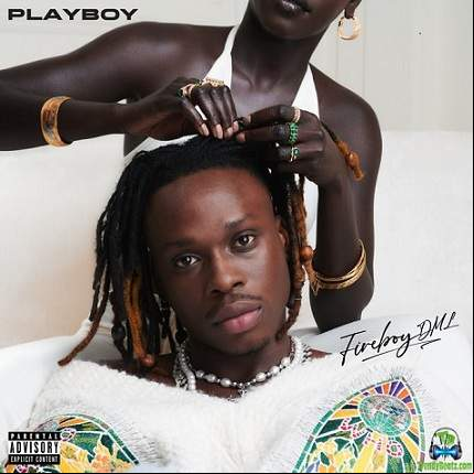 FireBoy DML 