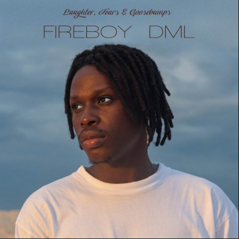 FireBoy DML 