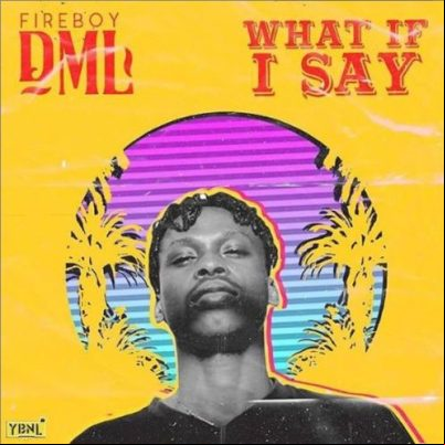 FireBoy DML 