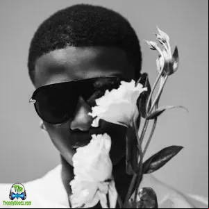 Wizkid 